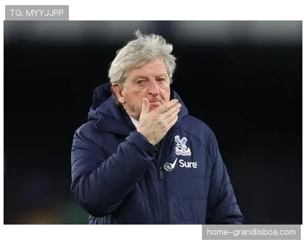 水晶宫39分基本脱离降级区 霍奇森带队稳居中游